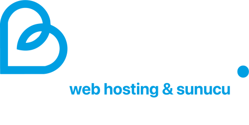 Bupin Teknoloji - Hızlı ve Kesintisiz Web Hosting>